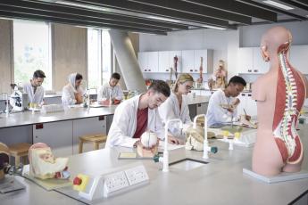 étudiants prenant des notes face à des modèles anatomiques