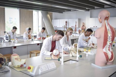 étudiants prenant des notes face à des modèles anatomiques